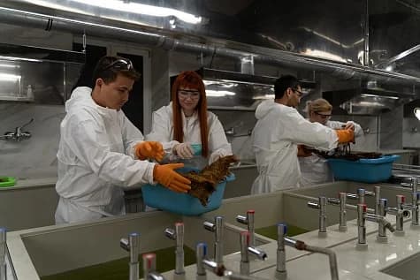 Отбеливание 2