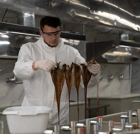 Промышленное окрашивание